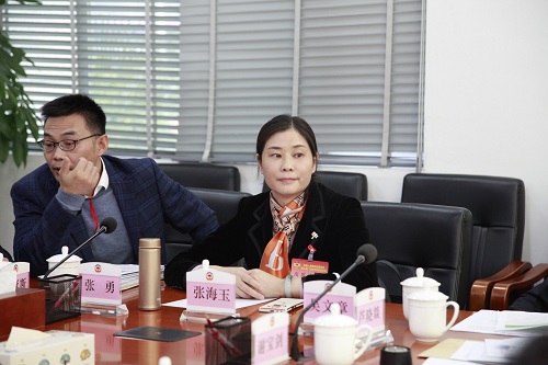 區(qū)政協(xié)副主席張海玉下組與委員交流.JPG