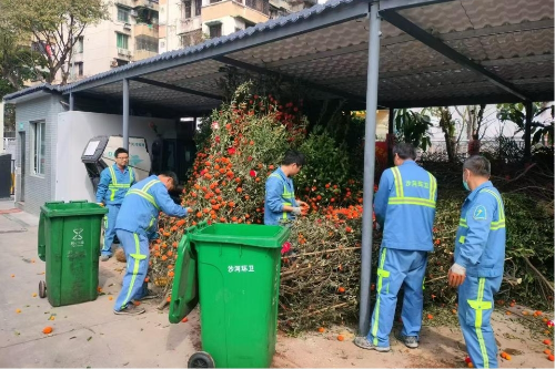 街道環(huán)衛(wèi)站工作人員在采摘廢棄年桔果實(shí).jpg