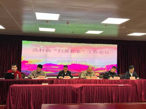 冼村街召開2025年掃黃打非工作會(huì)議 圖片.jpg